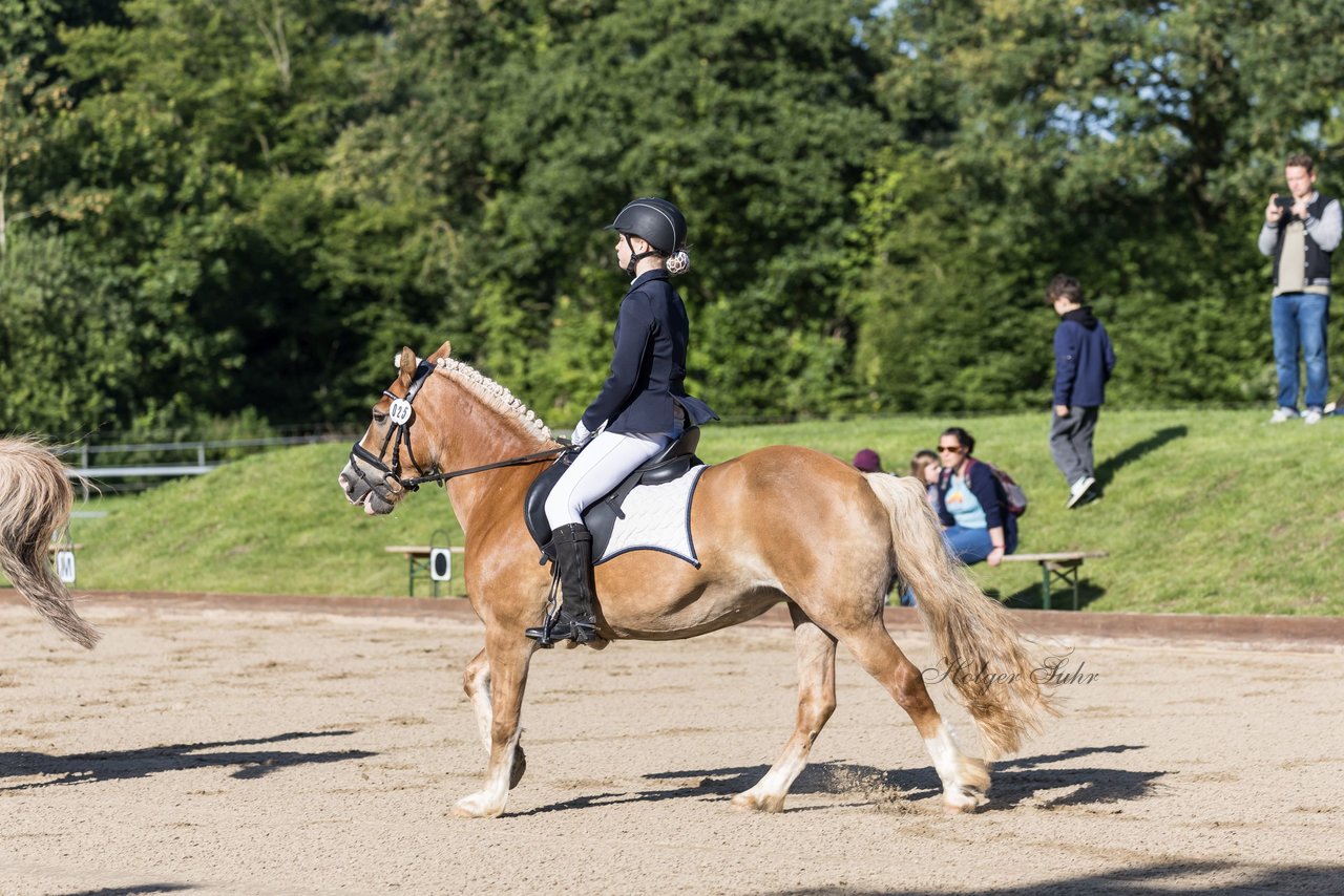 Bild 72 - Pony Akademie Turnier